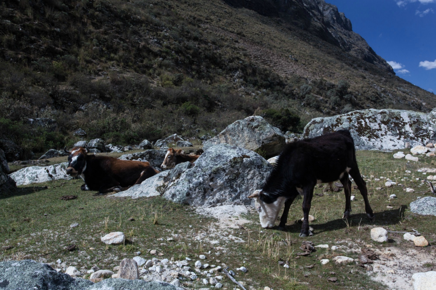 Pérou_Santa Cruz_231
